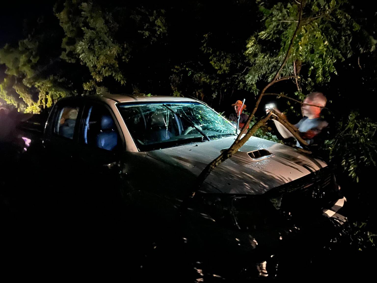 Queda de árvores causou interrupção na BR-285 em Panambi