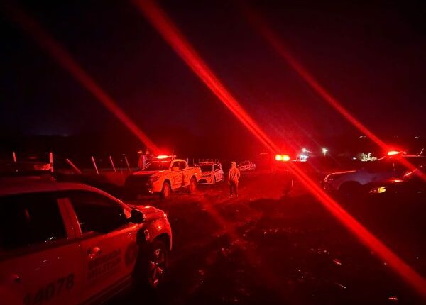 Homem que matou sobrinho com golpes de foice é preso em Cruz Alta