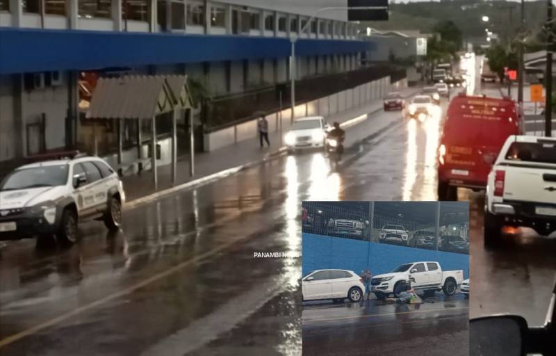 Gari é atropelado na região Sul de Panambi