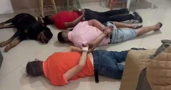 Cão se rende junto com assaltantes presos por tráfico de Drogas