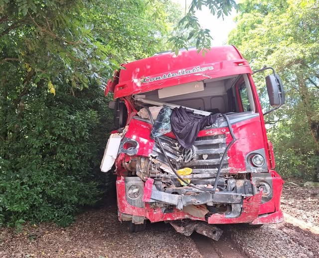 Caminhão carregado com mais de 90 suínos sem freio invade cemitério após sair da pista na SC-155