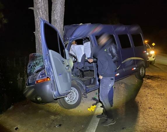 Van com torcedores do Grêmio sai da pista e bate em árvore na RS-122