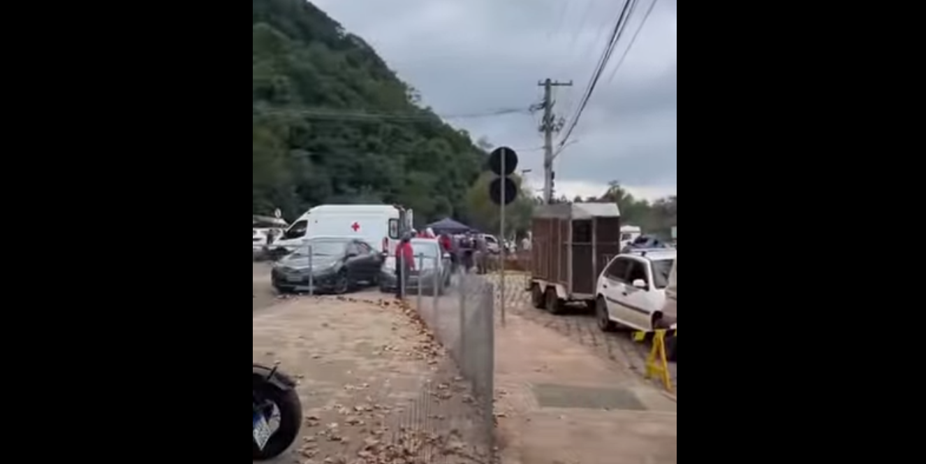 Ataque de abelhas deixa mais de 30 pessoas feridas durante cavalgada no RS; dois cavalos morreram