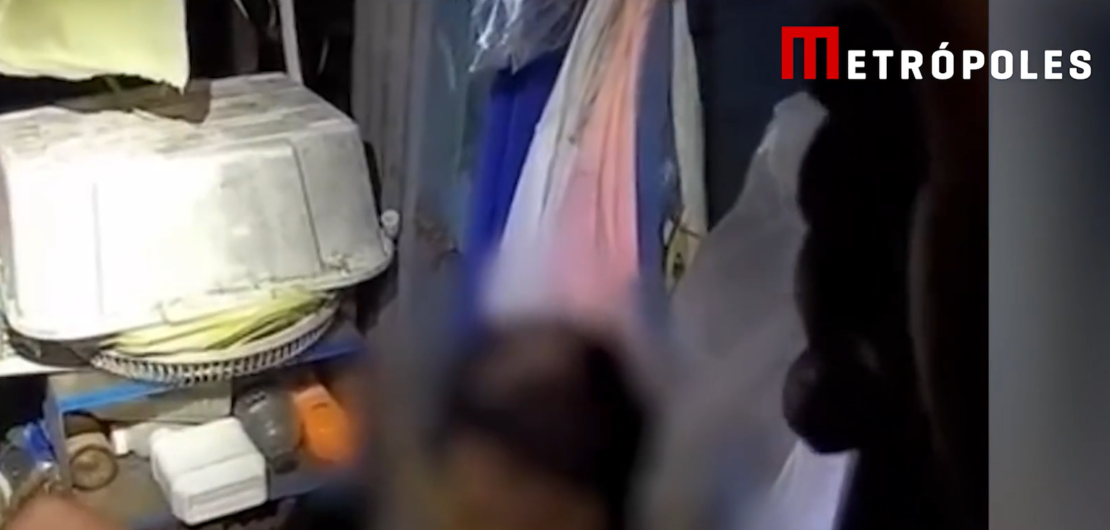 Cobra gigante estrangula mulher de 64 anos por mais de 2 horas