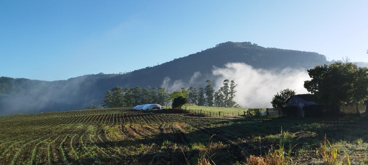 Metsul prevê La Niña com frio e estiagem no RS