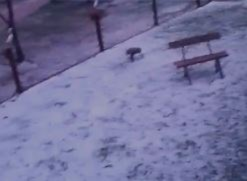 Granizo atinge o interior de São Luiz Gonzaga