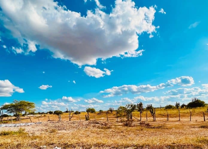 Clima árido é identificado pela primeira vez no Brasil