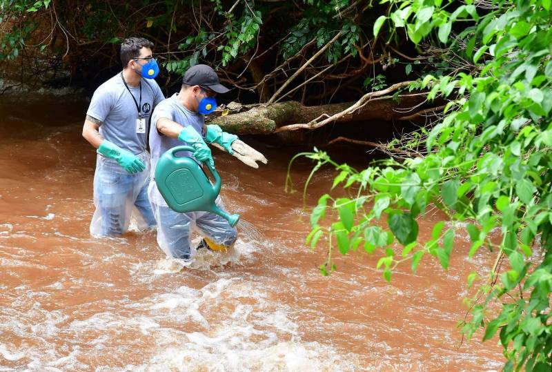 Vigilância Ambiental inicia combate aos Borrachudos em Santo Ângelo