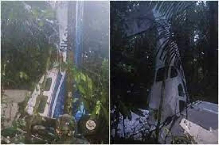 4 crianças são achadas vivas 16 dias após avião cair na Amazônia