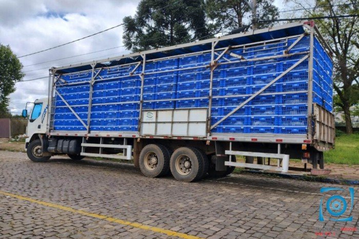 Dois homens são presos por furto de carga de frangos em Soledade