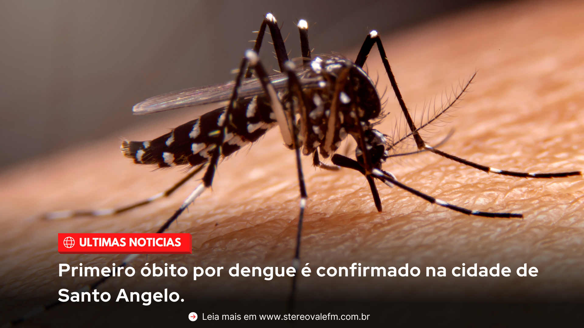 Primeiro óbito por dengue é confirmado na cidade de Santo Angelo.